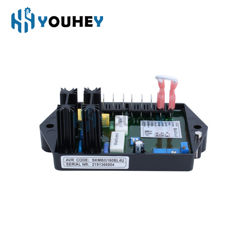 BL4U AVR BL4-U Automatic Volta - огляд і ціна Cycloidal Reducer Bldc Motor
